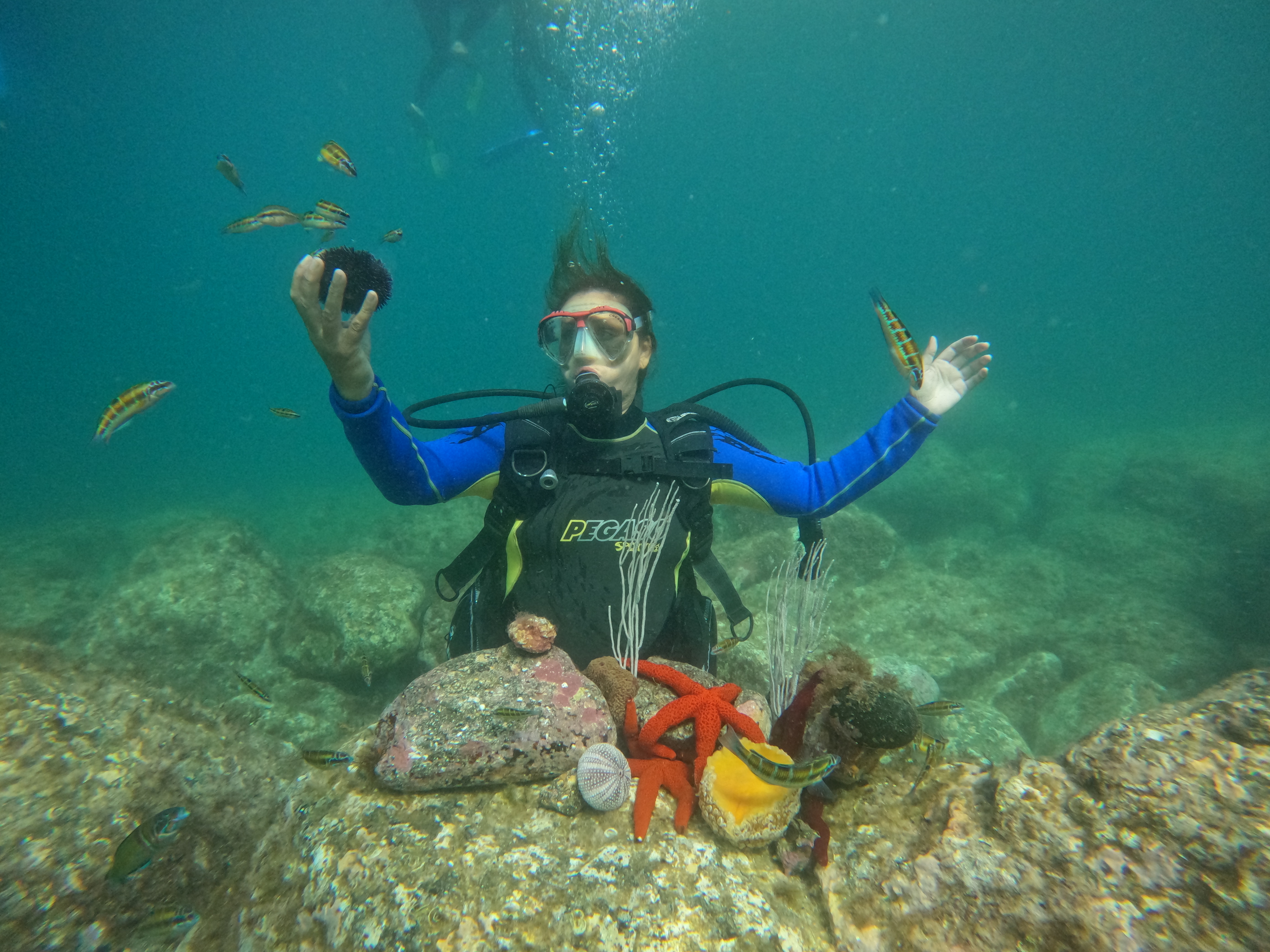 Ăpave mystĂ©rieuse